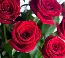 Load image into Gallery viewer, Bouquet of Flowers